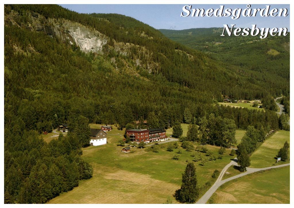 Smedsgården Hotel Nesbyen Eksteriør billede
